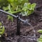 Raindrip Raindrip Spot Drip Irrigation Dripper 1 gph 10 pk R110CT - alternate 2